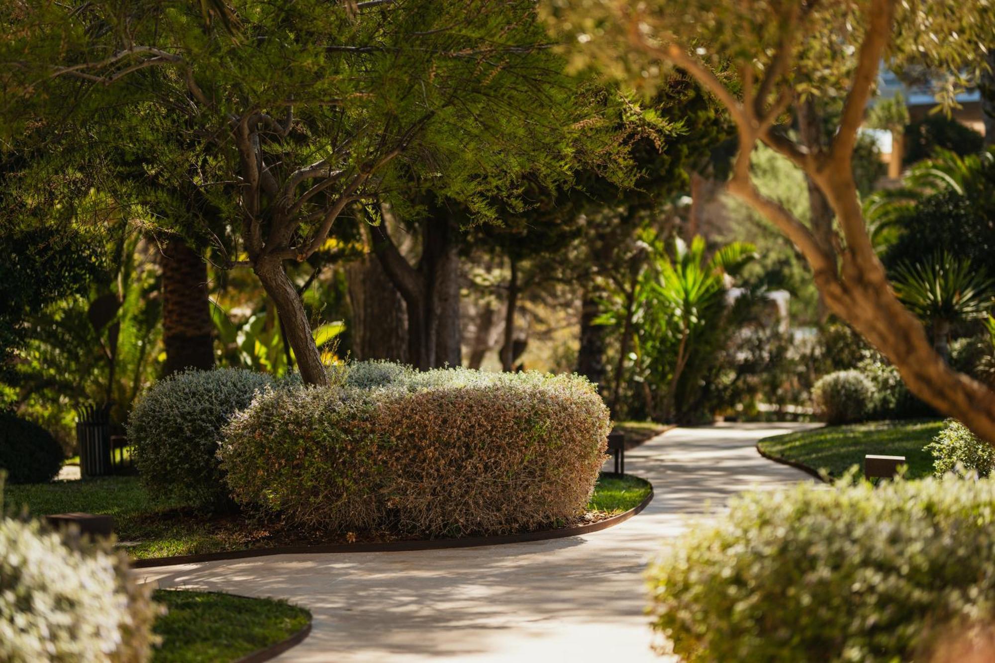 Secrets Mallorca Villamil Resort & Spa - Adults Only Peguera Exterior foto A path at the resort
